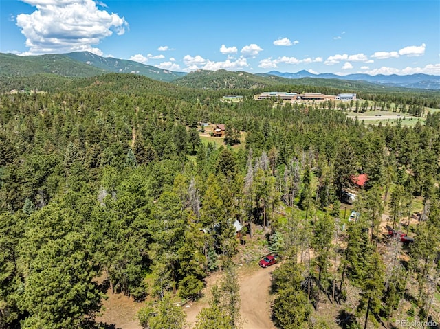 27164 Grey Moose Trl, Conifer, CO 80433 - photo 33
