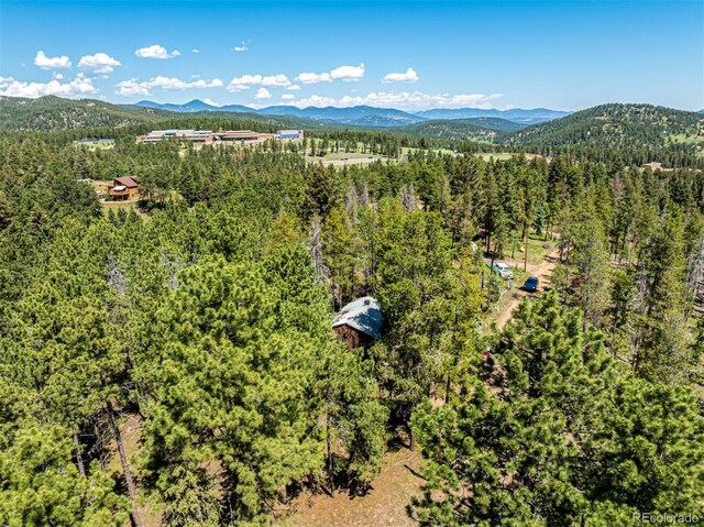 27164 Grey Moose Trl, Conifer, CO 80433 - photo 34