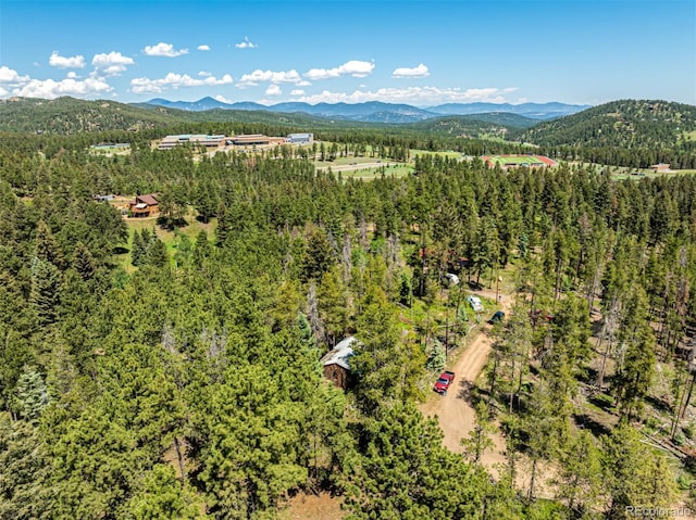 27164 Grey Moose Trl, Conifer, CO 80433 - photo 35