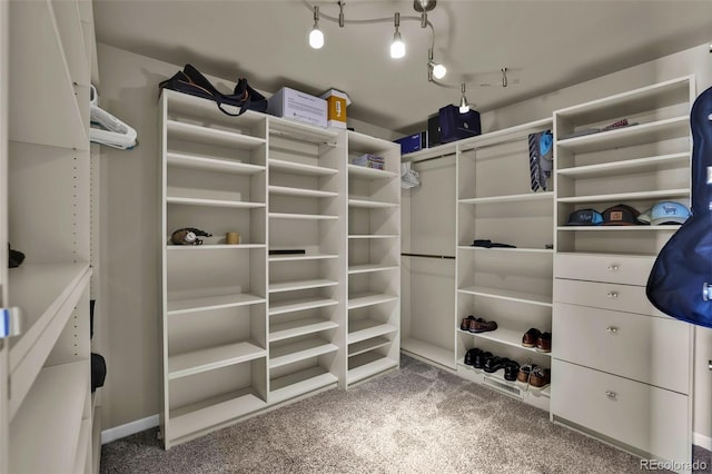 1065 Harbourne St, Colorado Springs, CO 80911 - spacious closet with carpet flooring