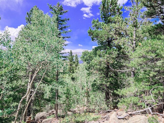 Listing photo 2 for 00 S Spring Gulch Rd, Idaho Springs CO 80452