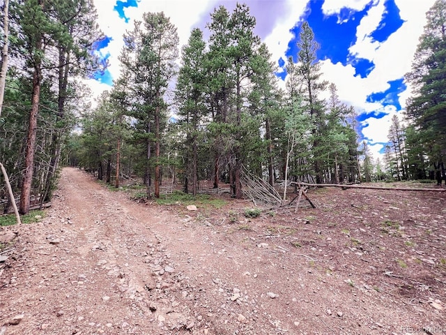 Listing photo 3 for 00 S Spring Gulch Rd, Idaho Springs CO 80452