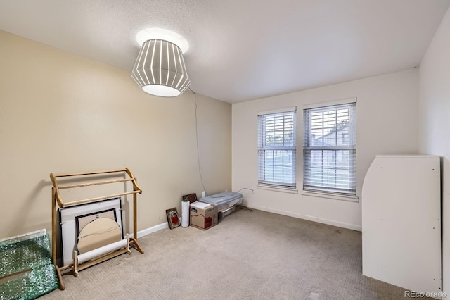 miscellaneous room featuring carpet floors and baseboards