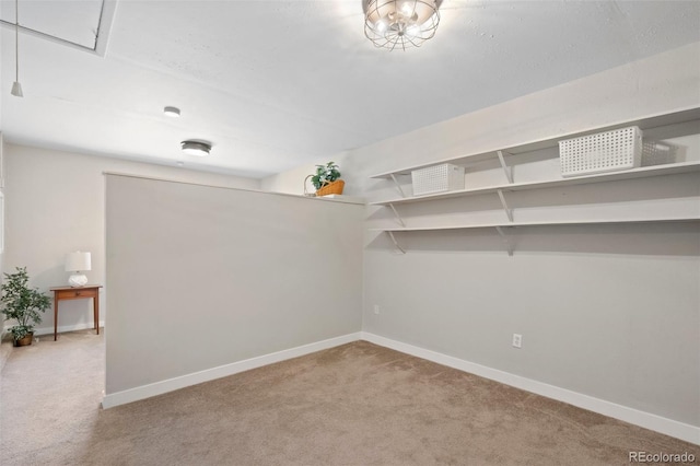 walk in closet featuring carpet