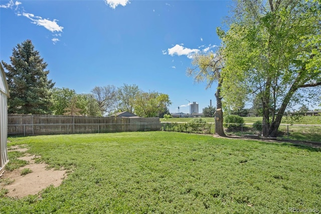 view of yard