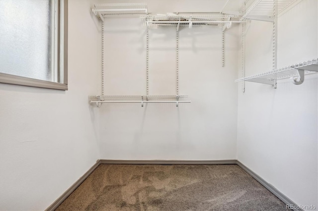 646 Maple St, Colorado Springs, CO 80903 - spacious closet with carpet