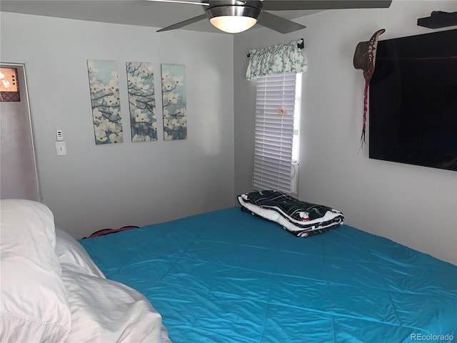 bedroom with ceiling fan