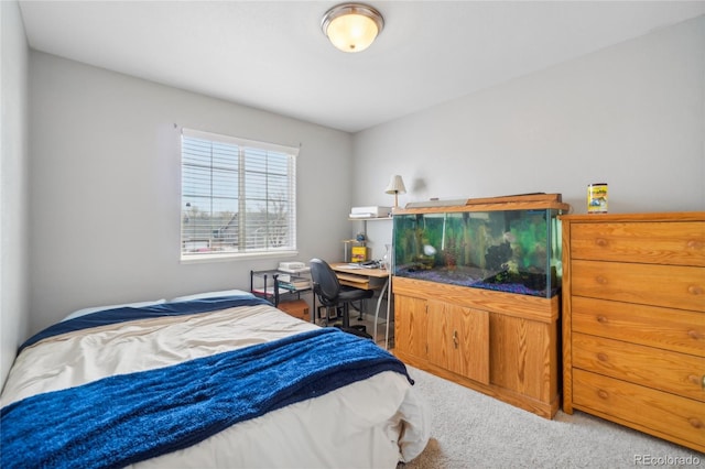 bedroom with carpet