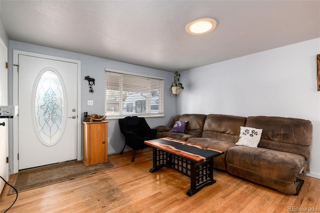 living room featuring light wood finished floors