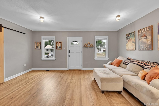 living area with light wood-style floors, a barn door, and baseboards