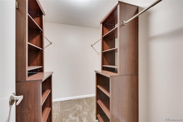 walk in closet with light colored carpet