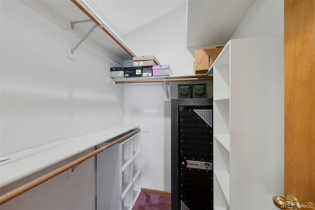 11366 Haswell Dr, Parker, CO 80134 - view of spacious closet
