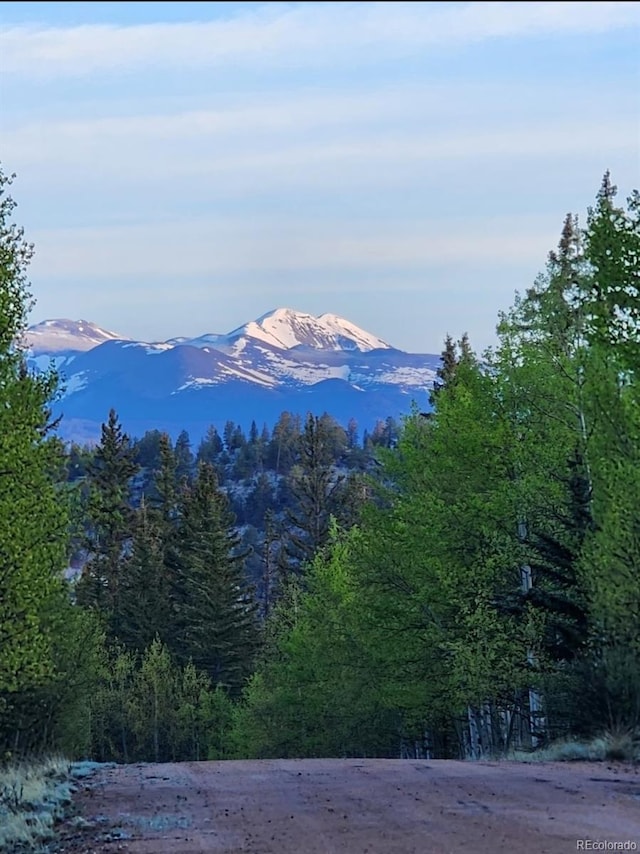 253 Bear Ln, Jefferson, CO 80456 - mountain view featuring a forest