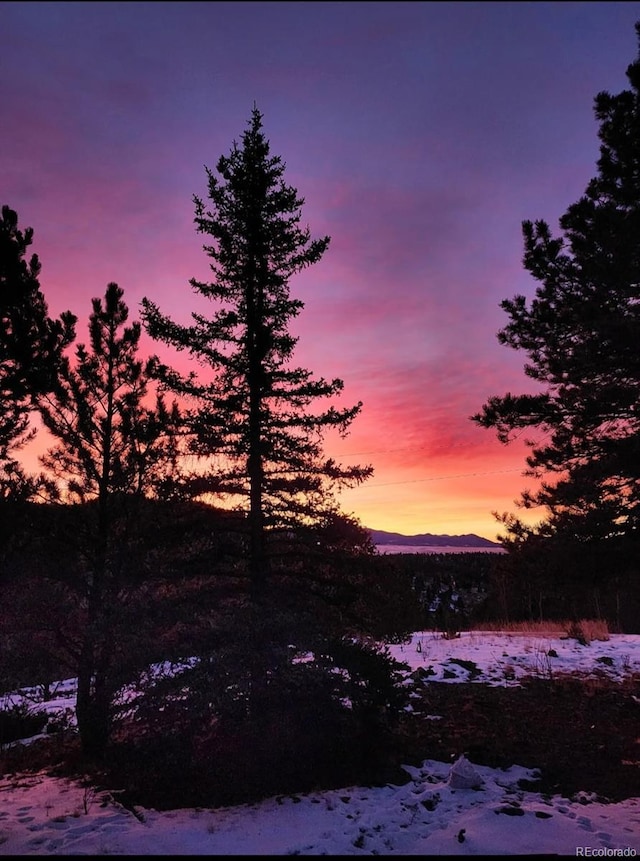 253 Bear Ln, Jefferson, CO 80456 - view of local wilderness