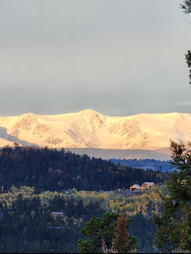 253 Bear Ln, Jefferson, CO 80456 - view of mountain backdrop with a heavily wooded area