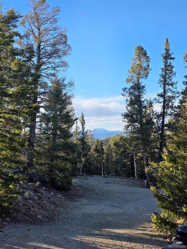 253 Bear Ln, Jefferson, CO 80456 - view of road featuring a wooded view and a mountain view
