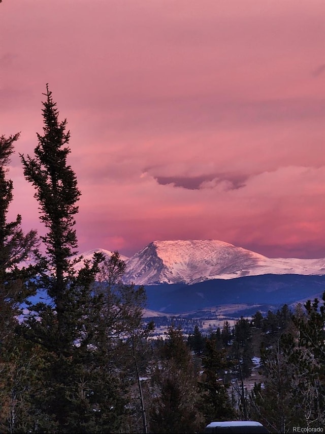 253 Bear Ln, Jefferson, CO 80456 - view of mountain background