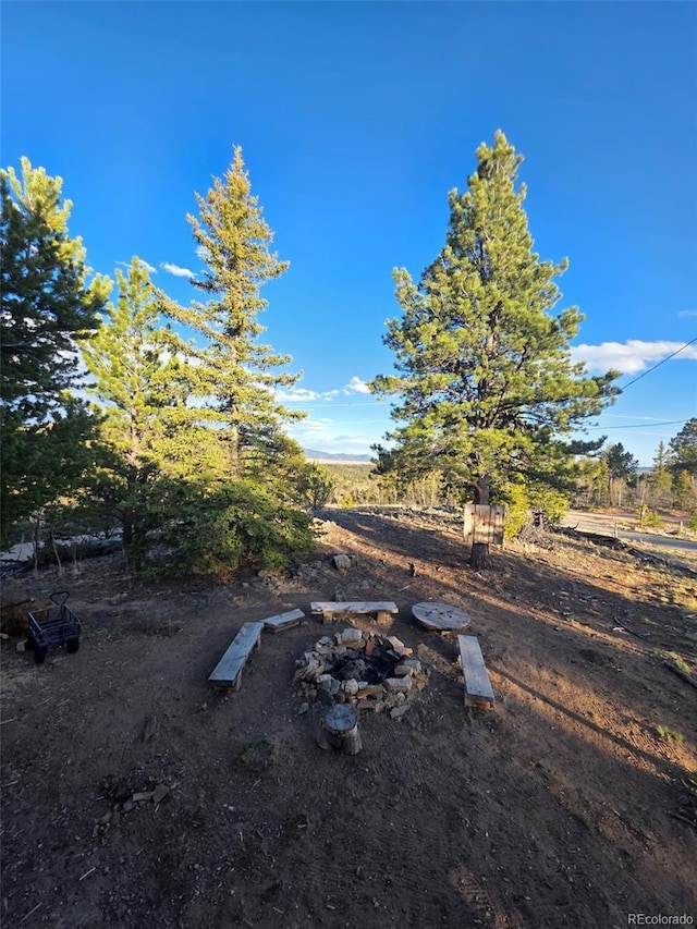 253 Bear Ln, Jefferson, CO 80456 - view of yard