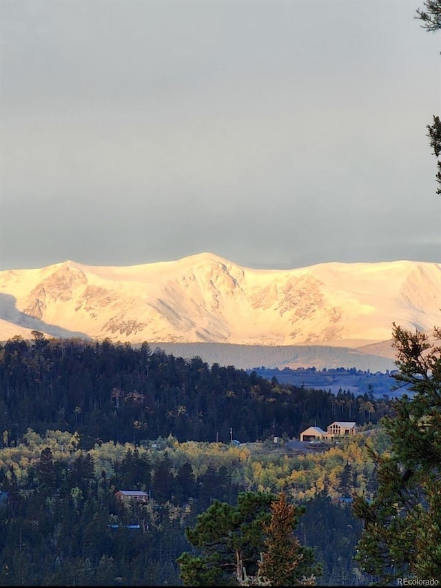 253 Bear Ln, Jefferson, CO 80456 - view of mountain background with a heavily wooded area