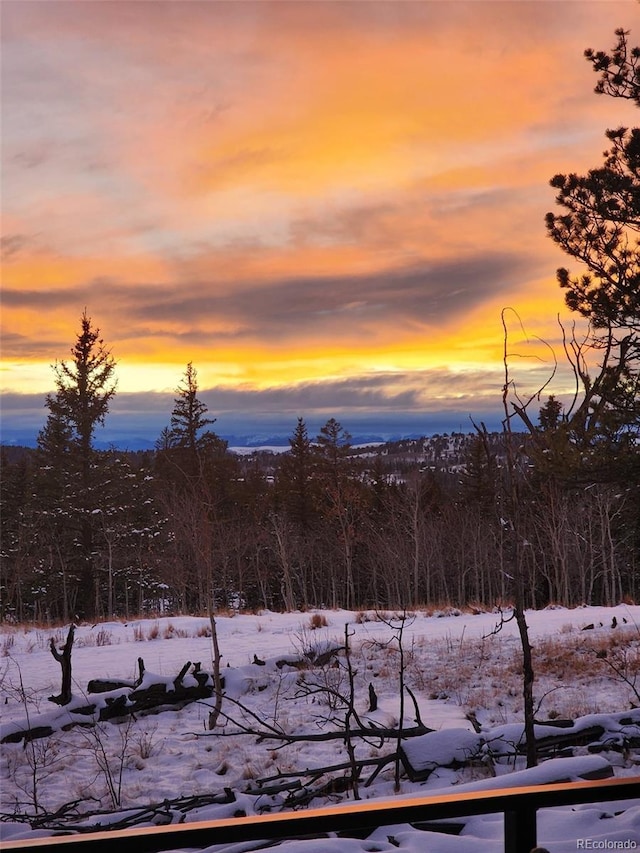 253 Bear Ln, Jefferson, CO 80456 - mountain view