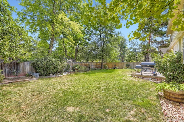 10675 W Rowland Ave, Littleton, CO 80127 - photo 26