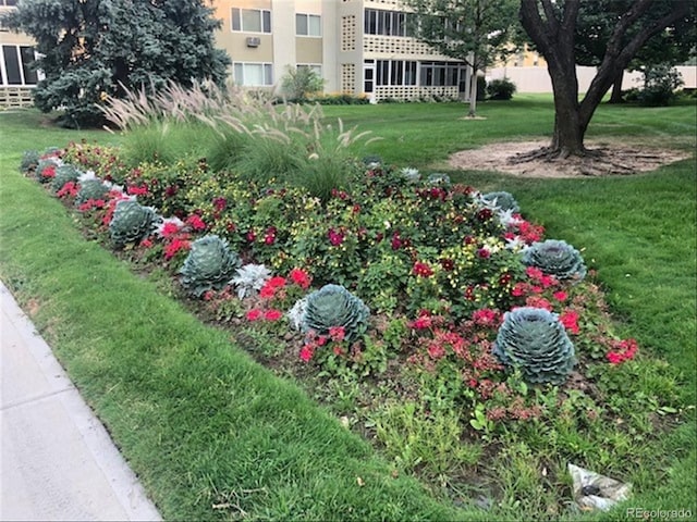 710 S Clinton St Unit 1A, Denver, CO 80247 - view of green lawn