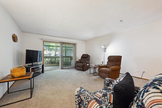 710 S Clinton St Unit 1A, Denver, CO 80247 - living room featuring carpet flooring and a textured ceiling