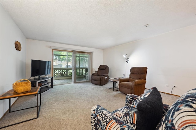 710 S Clinton St Unit 1A, Denver, CO 80247 - living room with carpet flooring and a textured ceiling