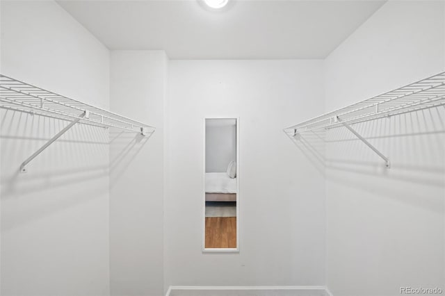 view of walk in closet