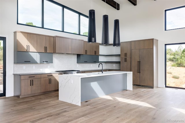 kitchen featuring light wood-type flooring, a wealth of natural light, and a high ceiling