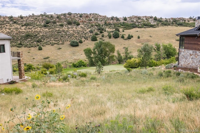 view of yard with a rural view