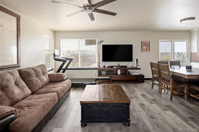 living area with a ceiling fan, wood finished floors, and healthy amount of natural light