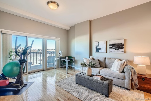 living room with light hardwood / wood-style flooring