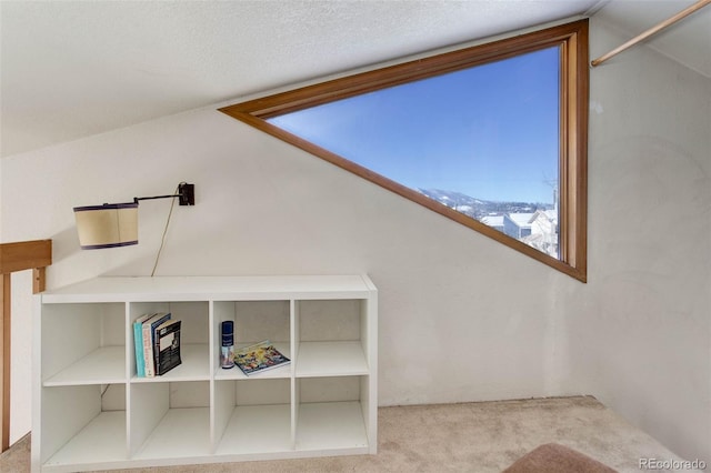 room details featuring carpet flooring