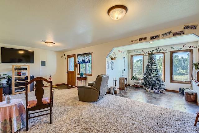 512 Carpenter Rd, Fort Collins, CO 80525 - photo 24