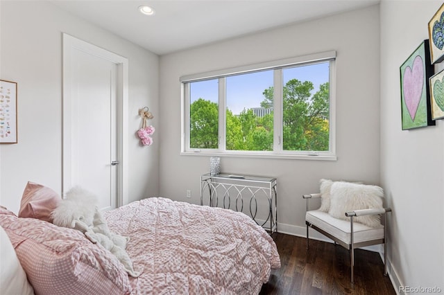 1373 S Garfield St, Denver, CO 80210 - bedroom with recessed lighting, dark wood-type flooring, and baseboards