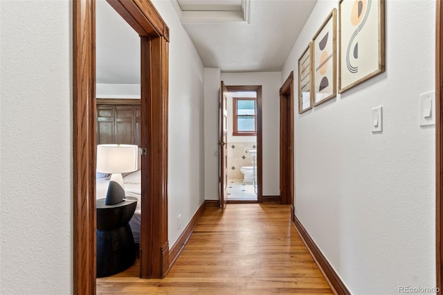3039 W 22nd Ave, Denver, CO 80211 - hall featuring light wood-type flooring and baseboards
