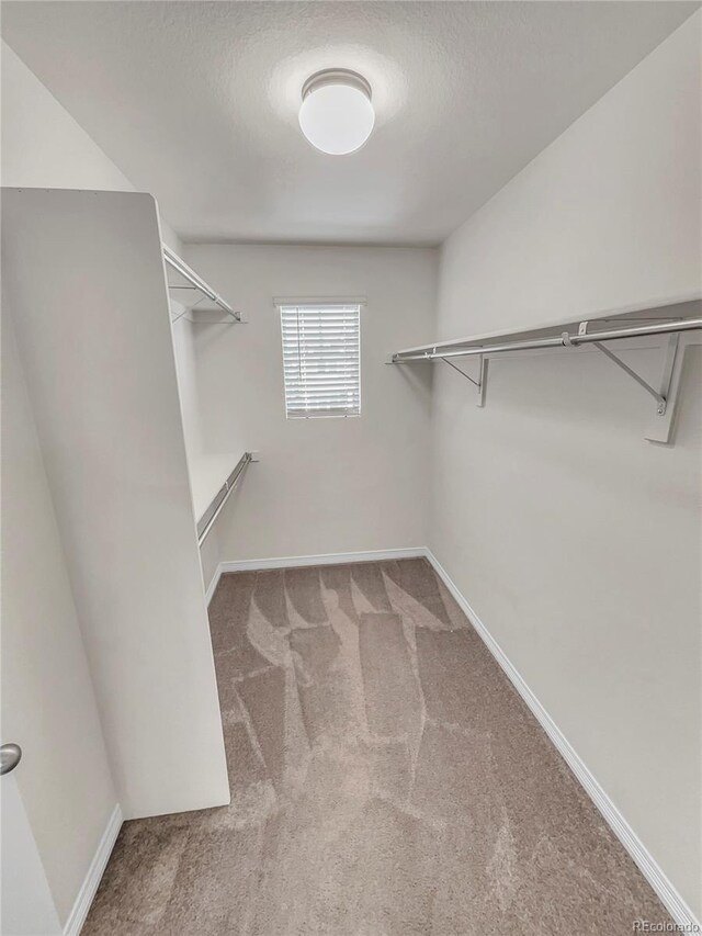 14880 Chicago St, Parker, CO 80134 - photo 19