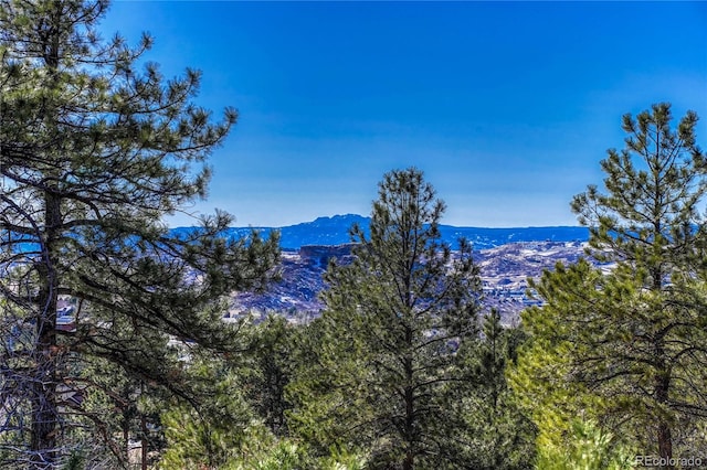 2111 Ramblewood Ct, Castle Rock, CO 80104