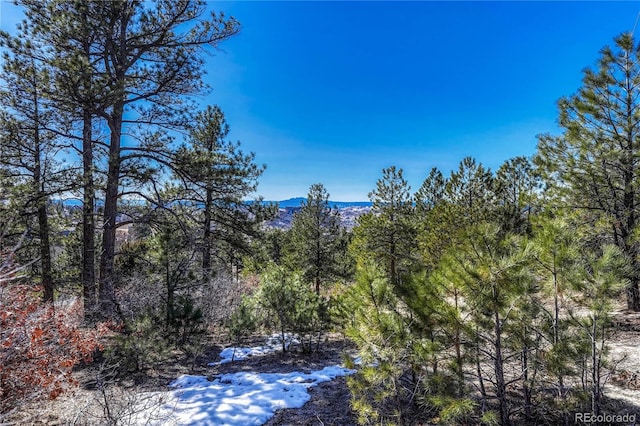 2111 Ramblewood Ct, Castle Rock, CO 80104