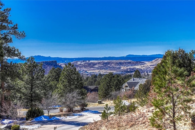 2111 Ramblewood Ct, Castle Rock, CO 80104
