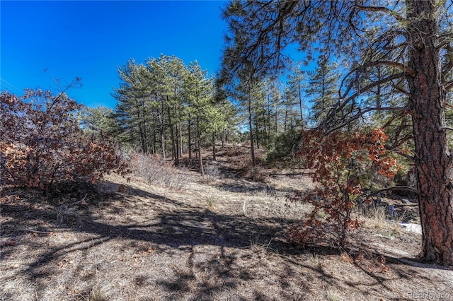 2111 Ramblewood Ct, Castle Rock, CO 80104