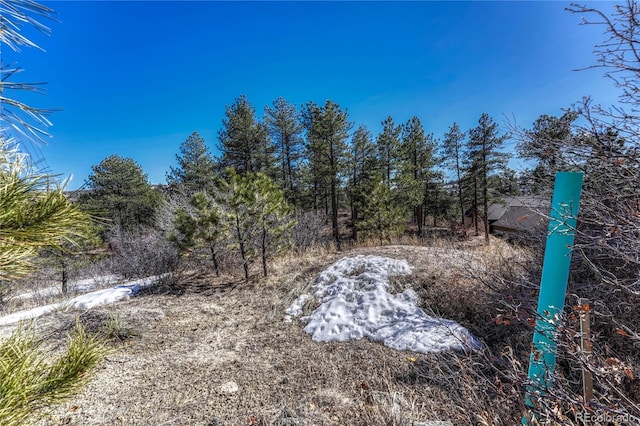 2111 Ramblewood Ct, Castle Rock, CO 80104