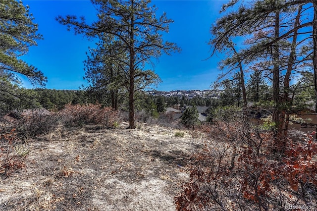 2111 Ramblewood Ct, Castle Rock, CO 80104