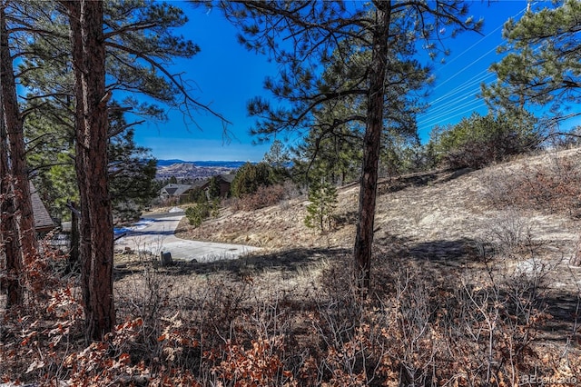 2111 Ramblewood Ct, Castle Rock, CO 80104