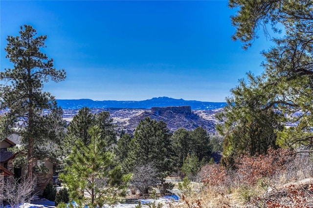 2111 Ramblewood Ct, Castle Rock, CO 80104