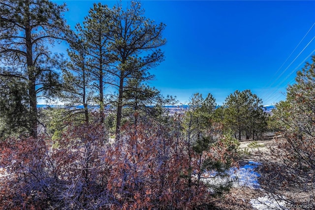 2111 Ramblewood Ct, Castle Rock, CO 80104