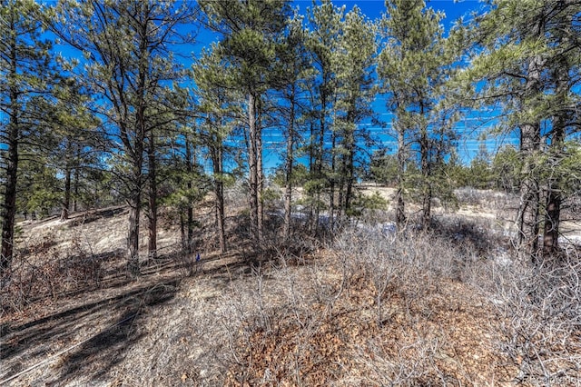 2111 Ramblewood Ct, Castle Rock, CO 80104