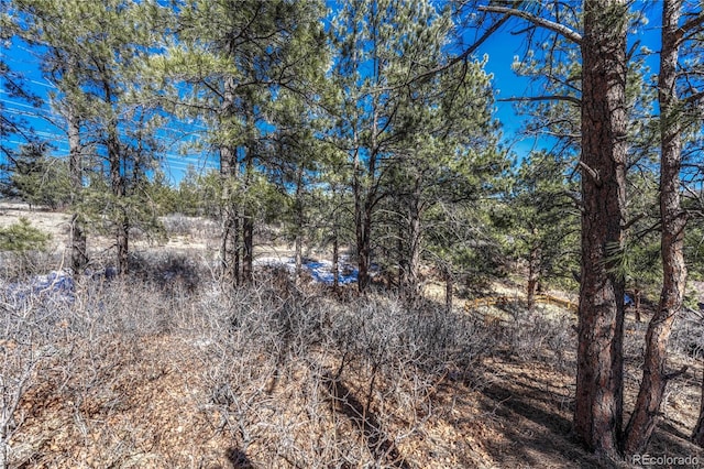 2111 Ramblewood Ct, Castle Rock, CO 80104