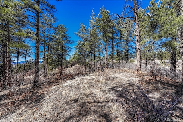 2111 Ramblewood Ct, Castle Rock, CO 80104